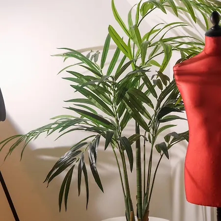 Rm The Experience - Small Portuguese 세투발