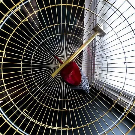 Pensjonat Rm The Experience - Small Portuguese 4*